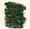 Derwent Pastel Block - P500 Ionian Green