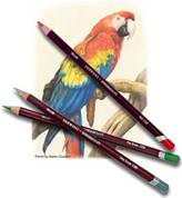 Derwent Coloursoft Pencils