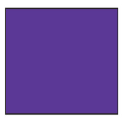 Winton Oil Paint - 37ml Tubes