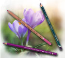 Pencils4artists Colour Compare Set of 12 Purples